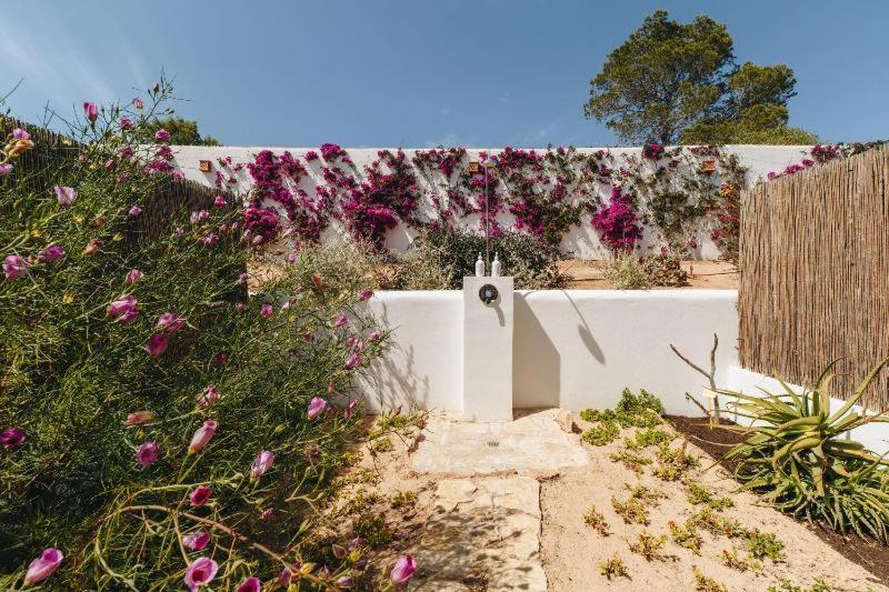 Petunia Ibiza, A Beaumier Hotel (Adults Only) Cala Vadella  Room photo
